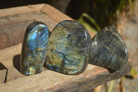 Polished Labradorite Standing Free Forms With Blue & Gold Flash  x 3 From Tulear, Madagascar - Toprock Gemstones and Minerals