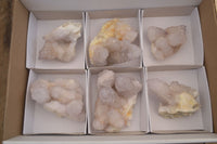 Natural Pale Lilac Spirit Quartz Clusters x 6 From Boekenhouthoek, South Africa - Toprock Gemstones and Minerals