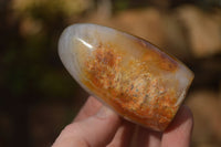 Polished Dendritic Agate Standing Free Forms  x 6 From Moralambo, Madagascar - Toprock Gemstones and Minerals