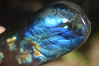 Polished Labradorite Standing Free Forms With Blue & Gold Flash  x 3 From Tulear, Madagascar - Toprock Gemstones and Minerals
