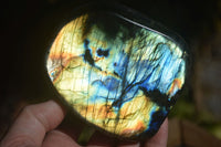 Polished Labradorite Standing Free Forms With Blue & Gold Flash  x 3 From Tulear, Madagascar - Toprock Gemstones and Minerals