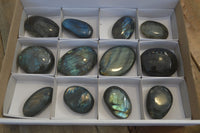 Polished Flashy Labradorite Palm Stones  x 12 From Tulear, Madagascar - Toprock Gemstones and Minerals