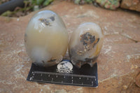 Polished Dendritic Agate Standing Free Forms  x 6 From Moralambo, Madagascar - Toprock Gemstones and Minerals