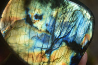 Polished Labradorite Standing Free Forms With Blue & Gold Flash  x 3 From Tulear, Madagascar - Toprock Gemstones and Minerals