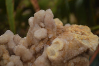 Natural Lovely Spirit Quartz Clusters  x 2 From Boekenhouthoek, South Africa - TopRock