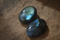 Polished Flashy Labradorite Palm Stones  x 12 From Tulear, Madagascar - Toprock Gemstones and Minerals