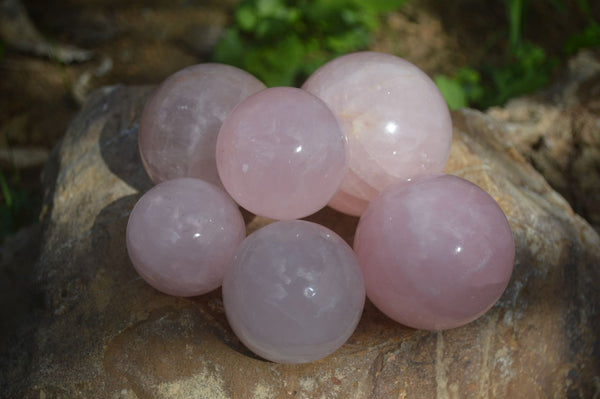 Polished Gemmy Pink Rose Quartz Spheres  x 6 From Madagascar - Toprock Gemstones and Minerals 