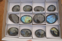 Polished  Flashy Labradorite Palm Stones  x 12 From Tulear, Madagascar - Toprock Gemstones and Minerals