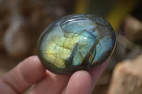 Polished Flashy Labradorite Palm Stones  x 12 From Tulear, Madagascar - Toprock Gemstones and Minerals