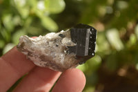 Natural Schorl Black Tourmaline Specimens x 13 From Erongo, Namibia - Toprock Gemstones and Minerals