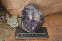 Polished Purple Lepidolite Standing Free Forms  x 6 From Zimbabwe - Toprock Gemstones and Minerals
