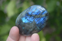 Polished Flashy Labradorite Palm Stones  x 12 From Tulear, Madagascar - Toprock Gemstones and Minerals