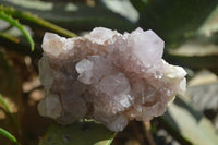 Natural Spirit Amethyst Quartz Clusters  x 4 From Boekenhouthoek, South Africa - Toprock Gemstones and Minerals