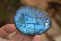 Polished  Flashy Labradorite Palm Stones  x 12 From Tulear, Madagascar - Toprock Gemstones and Minerals