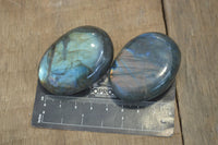 Polished Flashy Labradorite Palm Stones  x 12 From Tulear, Madagascar - Toprock Gemstones and Minerals