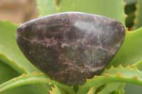 Polished Purple Lepidolite Standing Free Forms  x 6 From Zimbabwe - Toprock Gemstones and Minerals