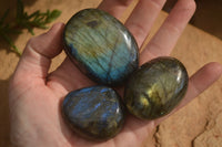 Polished  Flashy Labradorite Palm Stones  x 12 From Tulear, Madagascar - Toprock Gemstones and Minerals