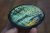 Polished Flashy Labradorite Palm Stones  x 12 From Tulear, Madagascar - Toprock Gemstones and Minerals