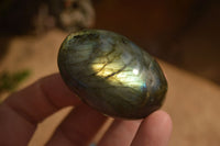 Polished  Flashy Labradorite Palm Stones  x 12 From Tulear, Madagascar - Toprock Gemstones and Minerals