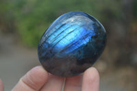 Polished Flashy Labradorite Palm Stones  x 12 From Tulear, Madagascar - Toprock Gemstones and Minerals