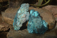 Natural Rough Shattuckite Cobbed Specimens x 6 From Kaokoveld, Namibia - Toprock Gemstones and Minerals