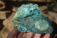 Natural Rough Shattuckite Cobbed Specimens x 6 From Kaokoveld, Namibia - Toprock Gemstones and Minerals