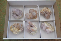 Natural Mixed Spirit Amethyst Quartz Clusters  x 6 From Boekenhouthoek, South Africa - Toprock Gemstones and Minerals