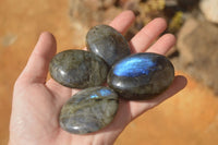 Polished  Flashy Labradorite Palm Stones  x 12 From Madagascar - Toprock Gemstones and Minerals