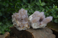 Natural Mixed Spirit Amethyst Quartz Clusters  x 6 From Boekenhouthoek, South Africa - Toprock Gemstones and Minerals