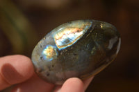 Polished  Flashy Labradorite Palm Stones  x 12 From Madagascar - Toprock Gemstones and Minerals