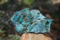 Natural Rough Shattuckite Cobbed Specimens x 6 From Kaokoveld, Namibia - Toprock Gemstones and Minerals