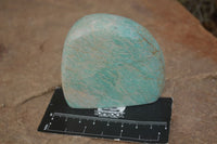 Polished Kobi Amazonite Free Forms  x 12 From Zimbabwe - TopRock