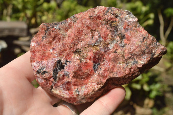 Natural Rough Pink Rhodonite Cobbed Pieces x 7 From Zimbabwe - TopRock