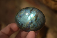 Polished  Flashy Labradorite Palm Stones  x 12 From Madagascar - Toprock Gemstones and Minerals