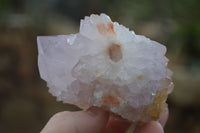 Natural Spirit Cactus Flower Quartz Clusters x 6 From Boekenhouthoek, South Africa - Toprock Gemstones and Minerals