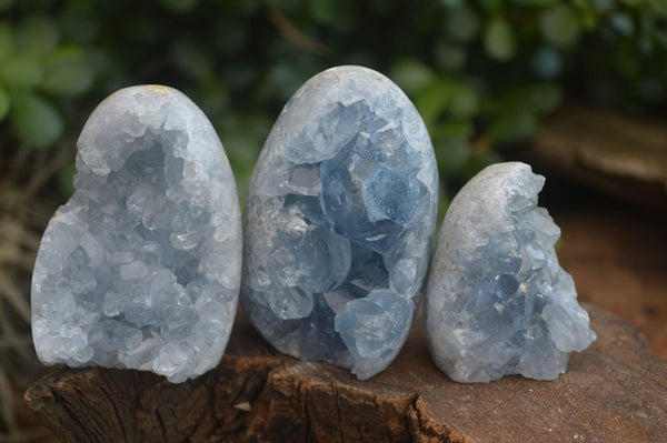 Polished Crystal Centred Blue Celestite Standing Free Forms x 6 From Sakoany, Madagascar - Toprock Gemstones and Minerals 