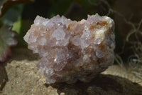 Natural Mixed Spirit Amethyst Quartz Clusters  x 6 From Boekenhouthoek, South Africa - Toprock Gemstones and Minerals