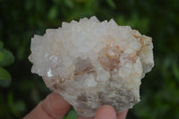 Natural Spirit Cactus Flower Quartz Clusters x 6 From Boekenhouthoek, South Africa - Toprock Gemstones and Minerals