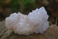 Natural Spirit Cactus Flower Quartz Clusters x 6 From Boekenhouthoek, South Africa - Toprock Gemstones and Minerals