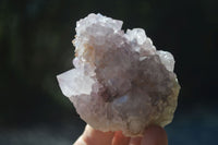 Natural Mixed Spirit Amethyst Quartz Clusters  x 6 From Boekenhouthoek, South Africa - Toprock Gemstones and Minerals