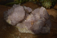 Natural Spirit Amethyst Quartz Clusters x 2 From Boekenhouthoek, South Africa - Toprock Gemstones and Minerals