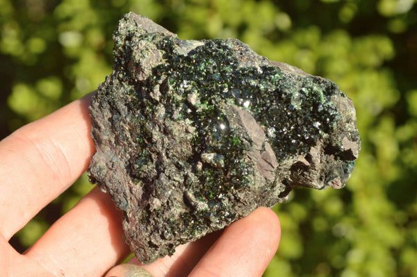 Natural Rare Copper Phosphate Libethenite On Dolomite Clusters x 12 From Shituru, Congo - TopRock