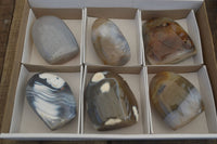 Polished Mixed Agate Standing Free Forms x 6 From West Coast, Madagascar - Toprock Gemstones and Minerals