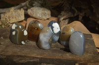 Polished Mixed Agate Standing Free Forms x 6 From West Coast, Madagascar - Toprock Gemstones and Minerals