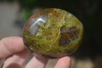 Polished Green Opal Palm Stones  x 12 From Antsirabe, Madagascar - Toprock Gemstones and Minerals