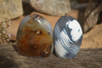 Polished Mixed Agate Standing Free Forms x 6 From West Coast, Madagascar - Toprock Gemstones and Minerals