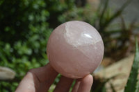 Polished Pink Rose Quartz Spheres  x 2 From Madagascar - Toprock Gemstones and Minerals