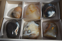 Polished Mixed Agate Standing Free Forms  x 6 From Madagascar - Toprock Gemstones and Minerals