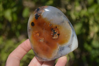 Polished Mixed Agate Standing Free Forms x 6 From West Coast, Madagascar - Toprock Gemstones and Minerals