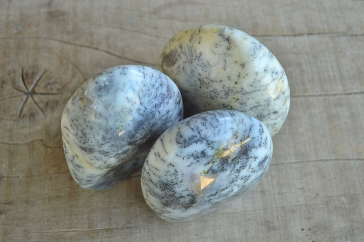 Polished Dendritic White Opal Standing Free Forms x 3 From Moralambo, Madagascar - TopRock